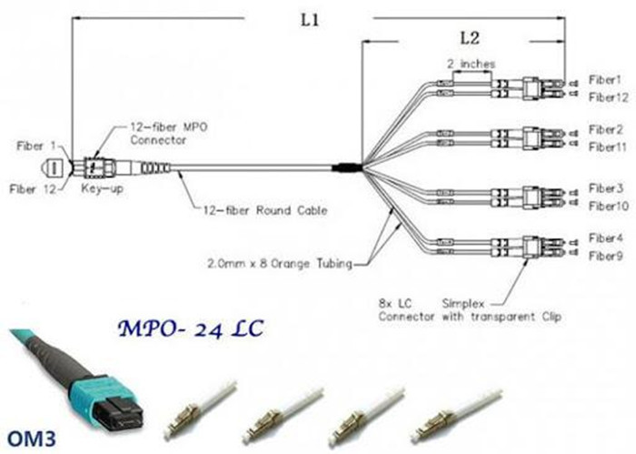 MTP/MPO Fiber Breakout Cable 12×LC Duplex Fiber Optic Exchange Cassette