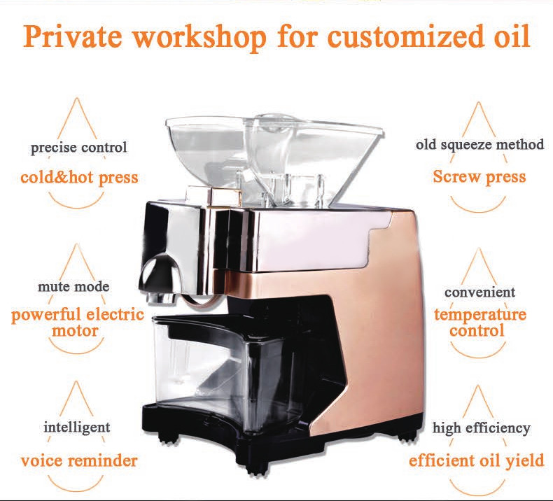 Mini household oil press machine 220V with high quality 304 stainless steel