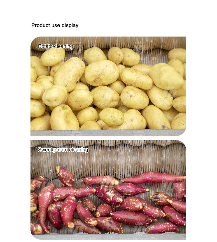 Factory direct with standard multi-functional fruit washing machine medium-sized lotus root washing radish machine