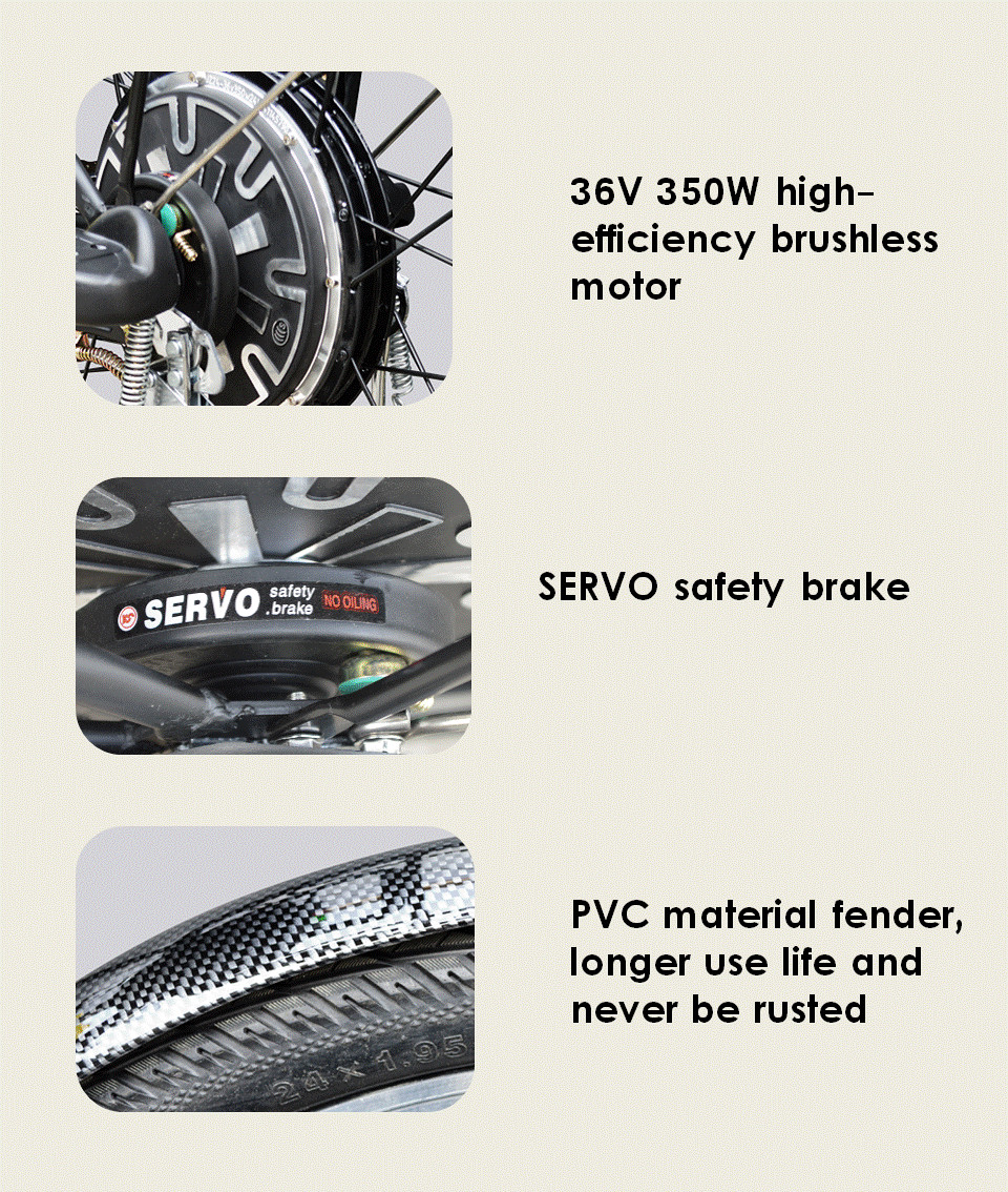 36V 350W Pedal Assist Electric Bike 24 Inch Wheel V Brake Rear Brushless Motor