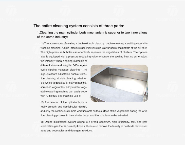1000KG/H Automatic eddy current washing machine Fruit and vegetable vortex bubble cleaning vibration drainer