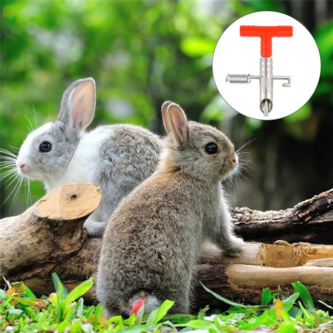 Red 8mm Hose Poultry Water Drinkers Plastic ABS Rabbit Nipple Waterer