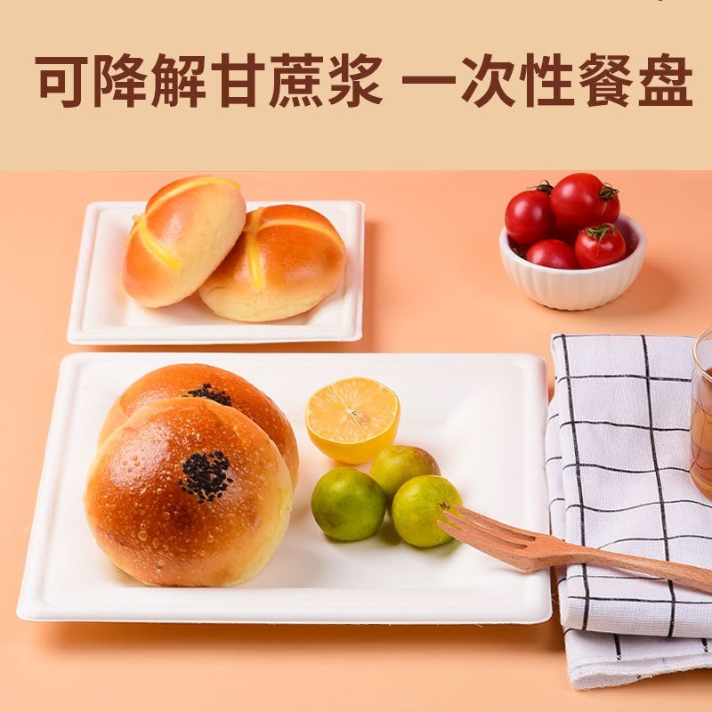 Food Custom Molded Pulp Packaging Biodegradable Environmentally Friendly