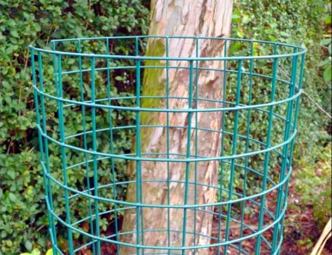 Industry 304 Stainless Steel Welded Wire Mesh Roll ASTM ISO9001 Standard