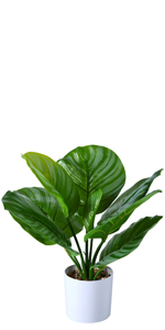 artificial plant tree ceramic planter pot wood plant stand seagrass basket
