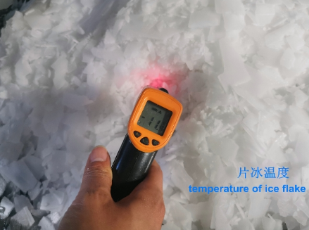 Automatic 20t/H Snowflake Ice Maker Machine For Fresh Seafood Fishery