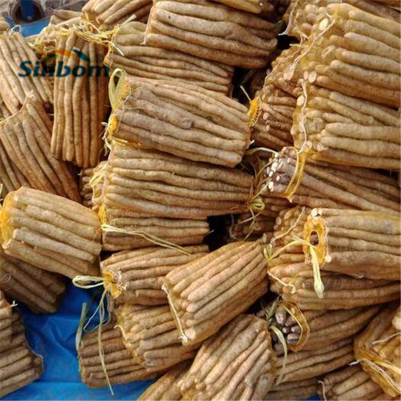 Eco-Friendly Plastic Fruit Net Protection Bag with 70gsm-200gsm Mono Mesh Netting