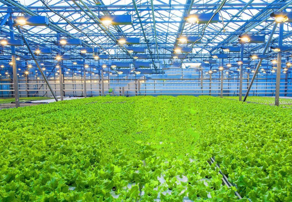 Wet Curtain Controlled Inlluminating Greenhouse