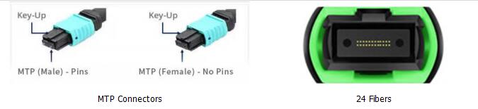 24F MTP OM3 Fiber Optic MTP-LC 2.0mm Straight Harness Cables