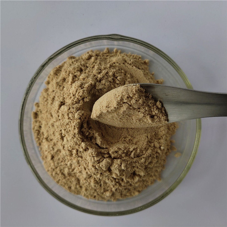 wholesale chaga mushroom extract/chaga extract in bulk