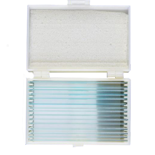 15 Pieces Mixed Botany Microscope Prepared Slides Set For Biology Education
