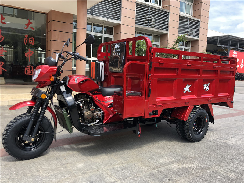 Customized 250cc Heavy Load Motor Three Wheels Motorcycle Cargo Tricycle