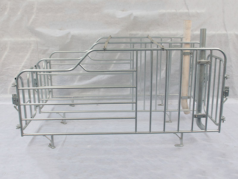 High quality cheap price automatic farrowing crate for pigs sow sty farming equipment for sale