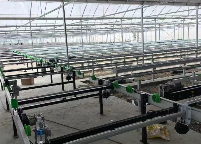 Growing System Rolling Greenhouse Tables Adjustable Shuttle Bench System Agriculture Movable Bench