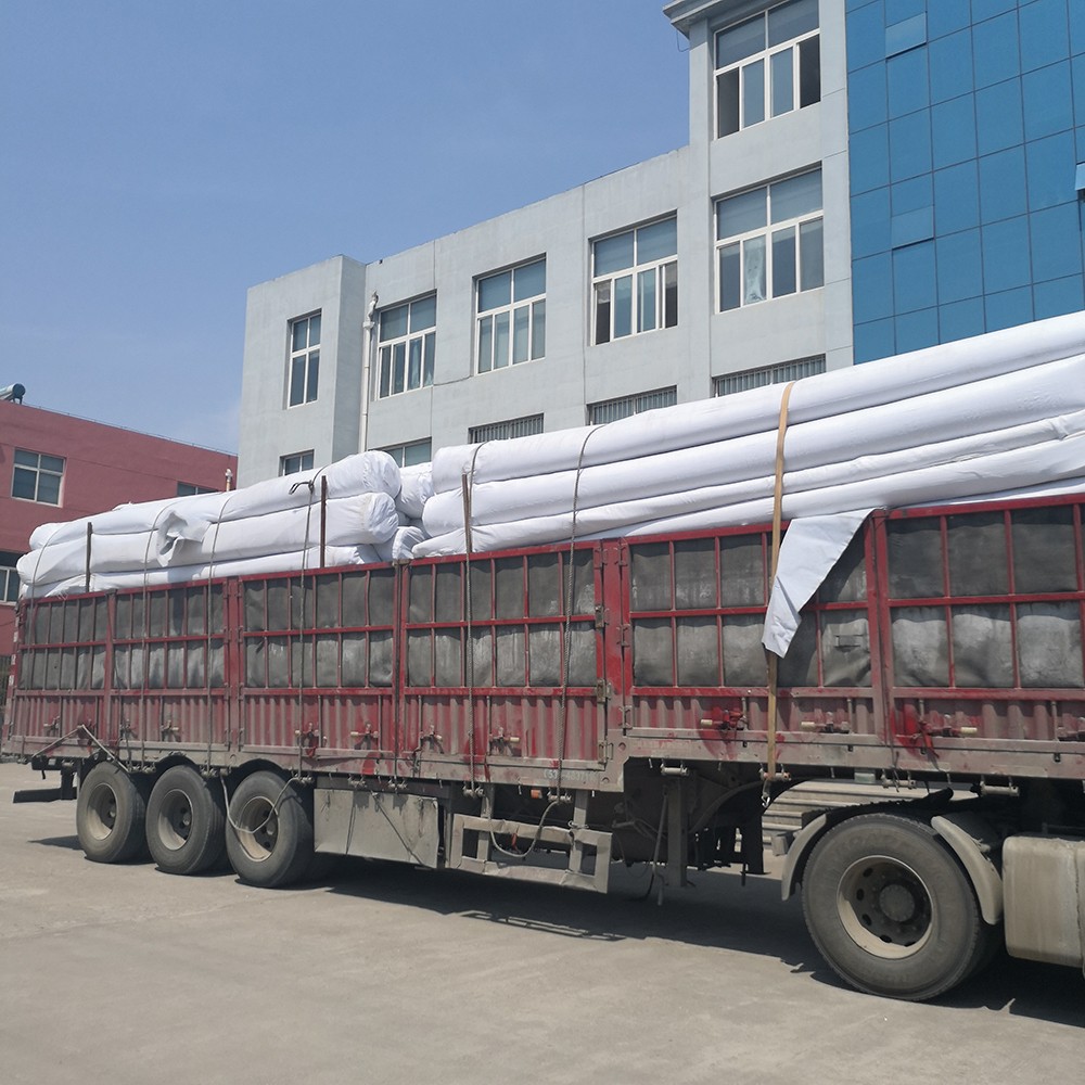 Non-Woven Geotextiles PP or PET Needle Punched Geotextile for Your Requirements
