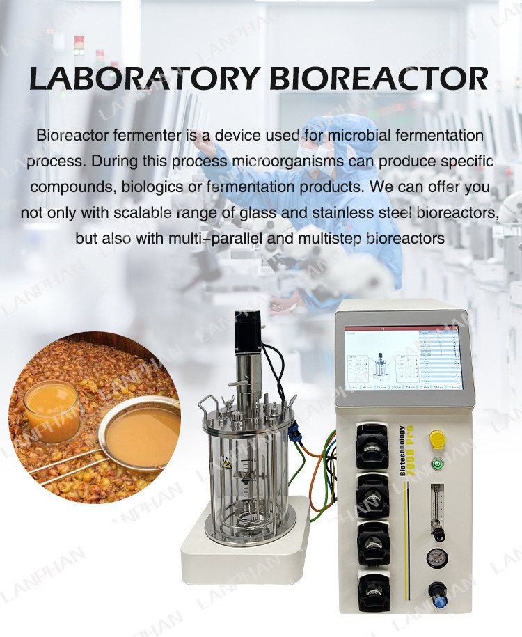 Mini Microbial / Bacteria Fermenter Bioreactor 1l Lab Fermenter Bioreactor For Algae