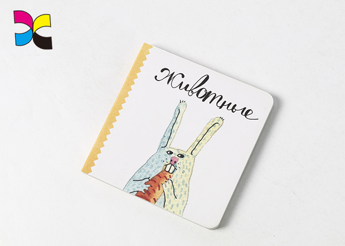 Matt Lamination Each Pages Childrens Book Prints In A4 A5 Size / Commercial Printing Services
