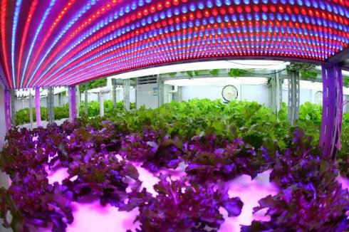 150W Plant light led hanging grow light for greenhouse vegetable growing RGB ceiling grown light 85% save energy