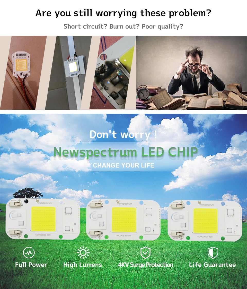 No Welding AC COB LED COB Chip Cold Warm White For Floodlight Greenhouse