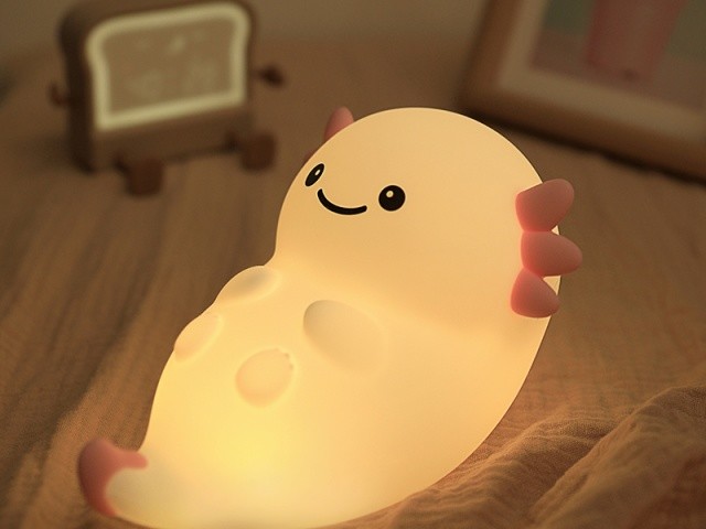 Customize Your Lighting With Adjustable Brightness Night Light 4H Charging Time