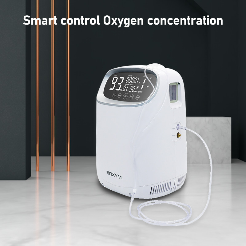 42dB Mini Portable Oxygen Generator 1L/ Min