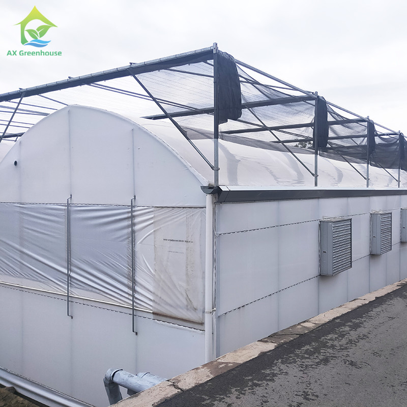 Plastic UV Resistant Film Agricultural Blackout Light Deprivation Greenhouse For Mushroom