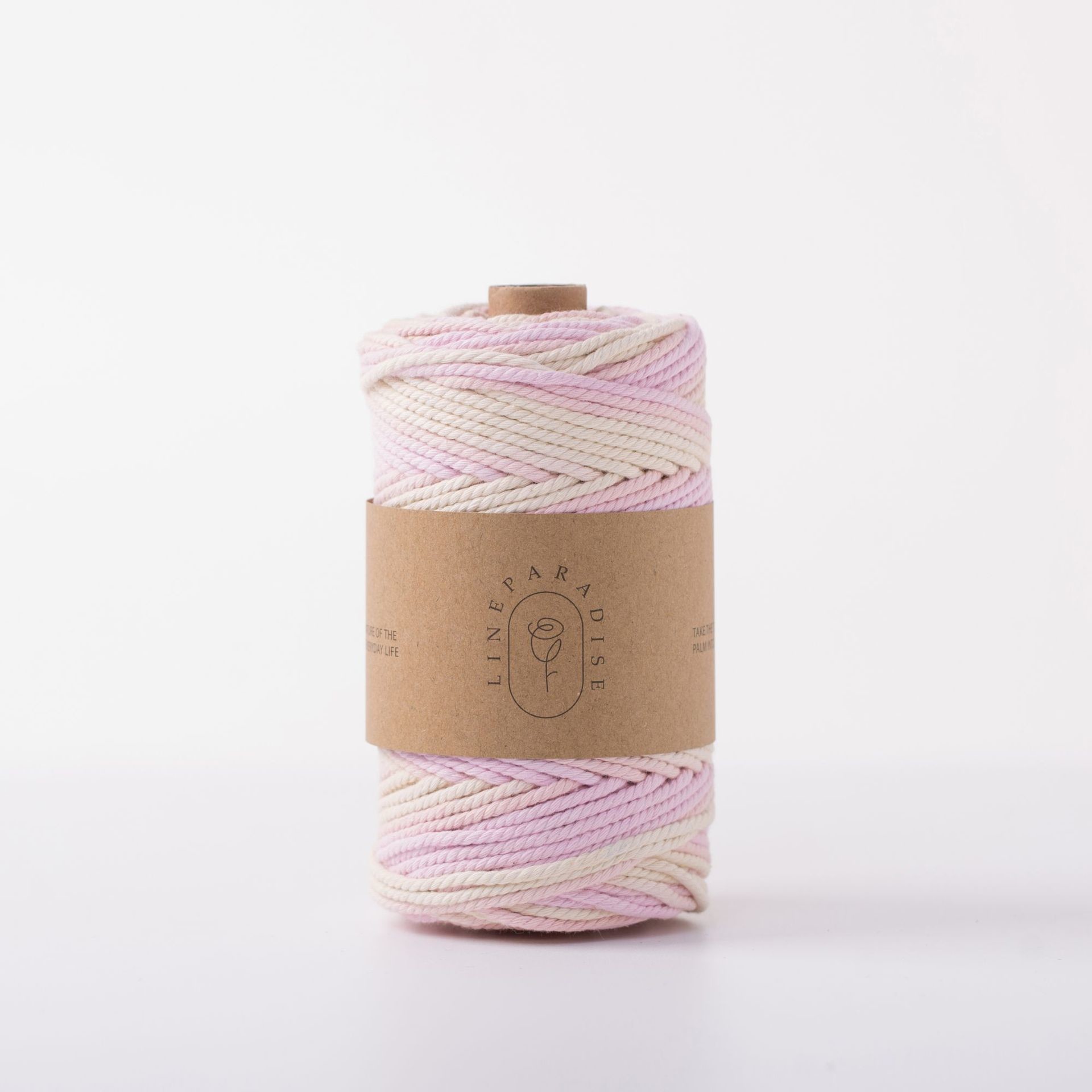 ISO9001 Solid Braid Cotton Rope Colorful 3mm Twisted Macrame Cord