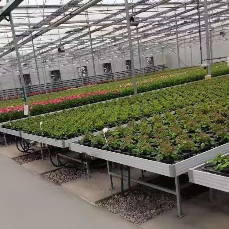 Agricultural Equipment Greenhouse Bench Systems for Seedling Nursery