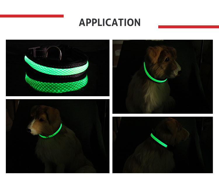 Adjustable Safety Light Up Flashing Glowing Puppy Cat Collar Purple / Green