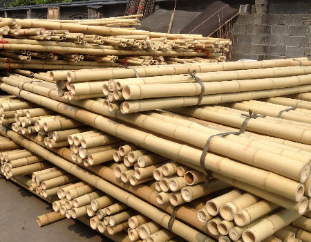 Eco-Friendly Bamboo Poles Toamto Beans Potted Plants for Indoor and Outdoor Plants