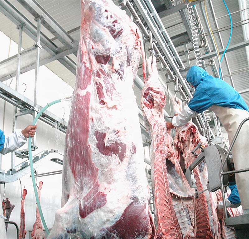 ISO9001 CE Slaughterhouse Cow Machine Stainless Steel 304 Cow Feet Hair Removing Machine