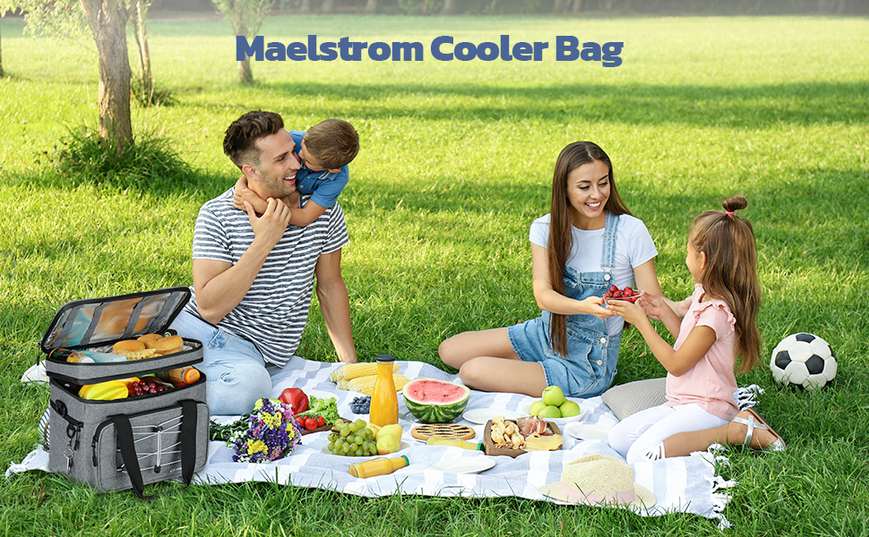 Double Decker Cooler Bag For Frozen Food Collapsible Insulated Cooler 27L
