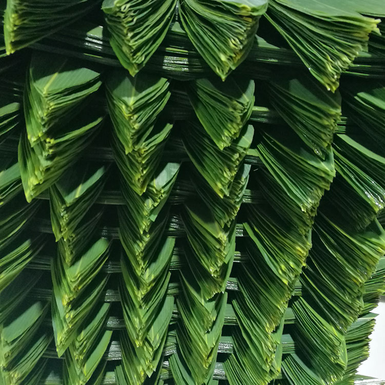 Serve Sushi with Fresh and Natural Bamboo Leaf Wrappers NO Address Required