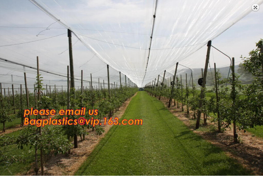 100% new HDPE insect mesh / anti bird net for apple trees,greenhouse anti insect net for plant, agriculture net Anti-ins