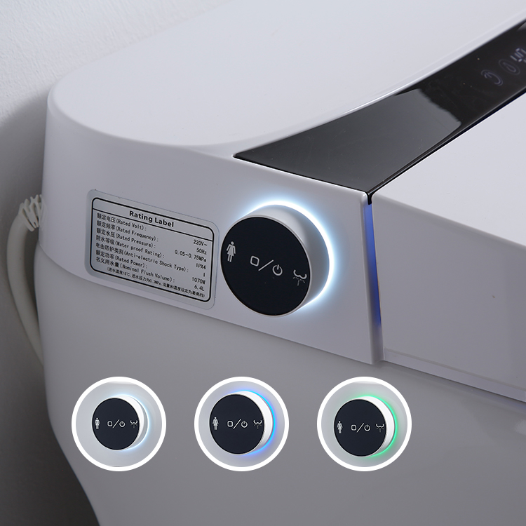 Japanese Style Smart Toilet Bidet Fully Automatic Inductive 680x405mm