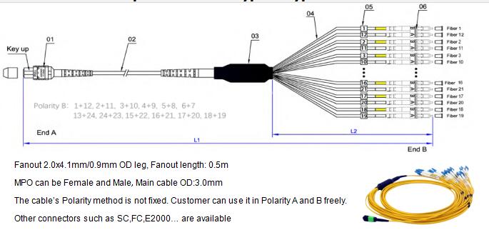 24 Fibers MPO to LC OM4 Fiber Optic MPO-LC 2.0mm Straight harness Cables