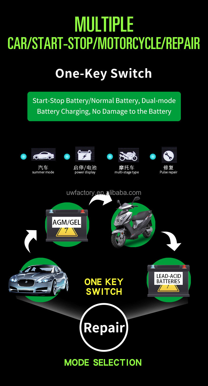 Electric Vehicle 24V 36V 48V 12V 5A 6A Battery Charger for Motorcycle Car Pulse Repair Lead Acid Charger EU US UK AU