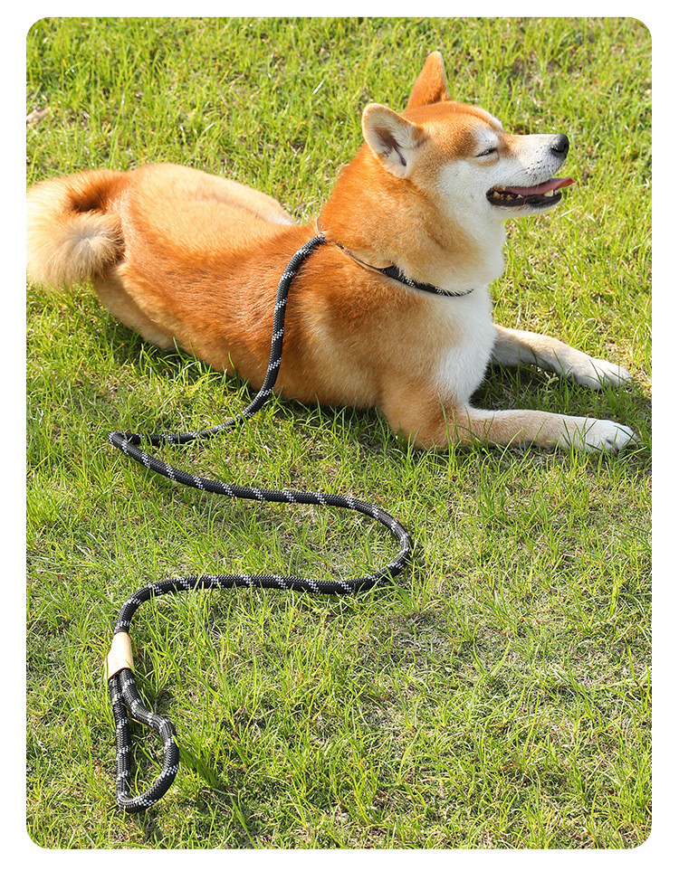 Pets Nylon Sturdy And durable Leash High Quality Traction Rope For Dog And Cat