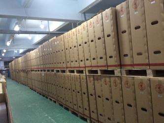 ShenZhen Ingenic Education Equipment Co., Ltd.