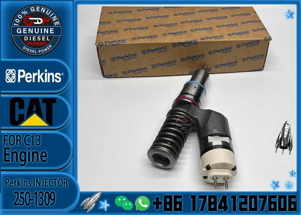 Diesel engine fuel injector 250-1309 excavator C11 C13 diesel engine spare parts 250-1309