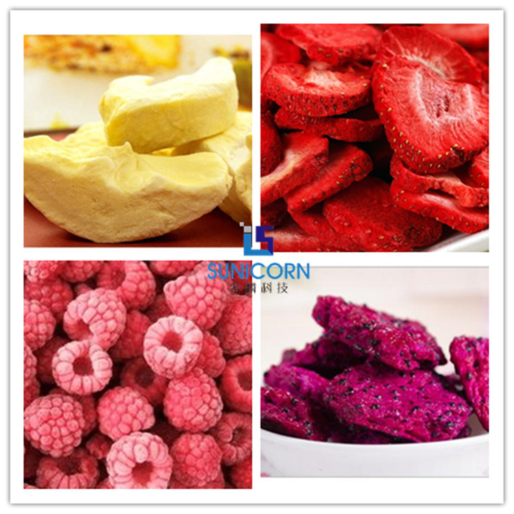 4kg Per Batch Mini Vacuum Freeze Dryer For Pet Food Dog Treats