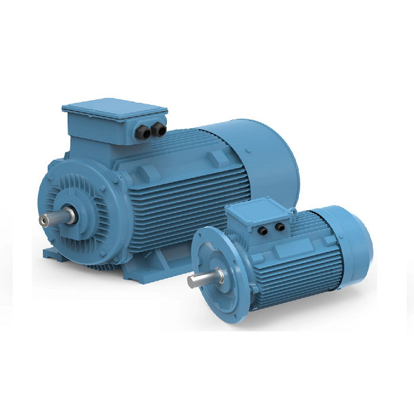Custom Permanent Magnet Electric Motor