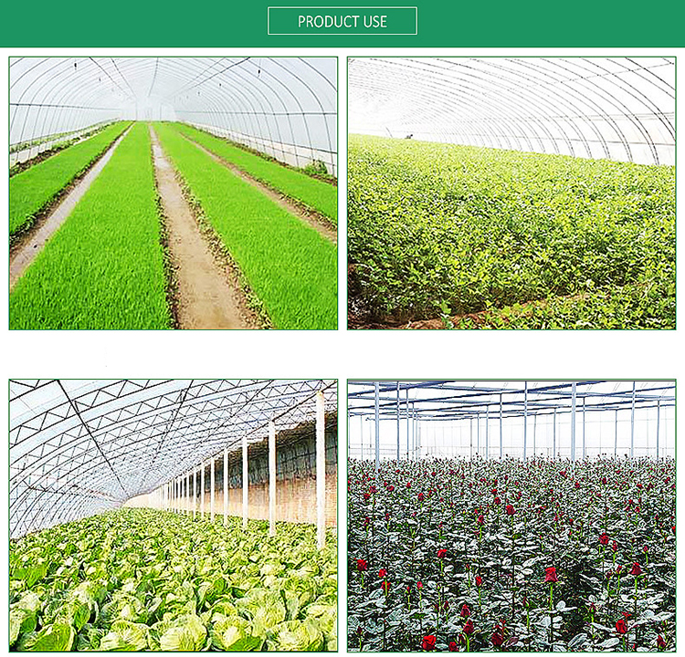 Good Quality Customized Farm Vegetable Protection Insect Mesh Insectproof Net