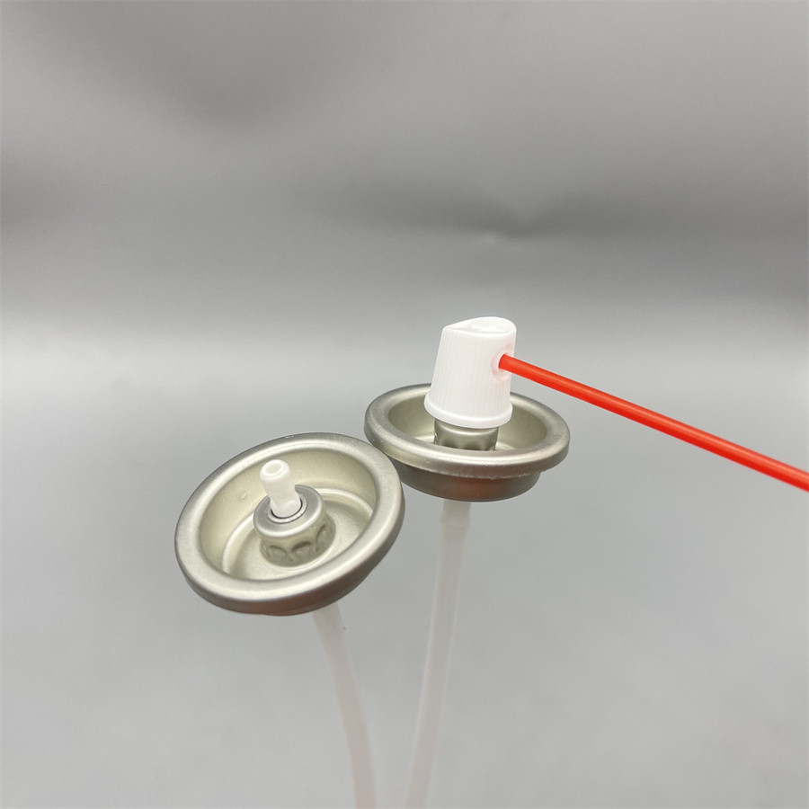 Marine Carburetor Maintenance Valve Clean and Protect for Reliable Performance on the Water