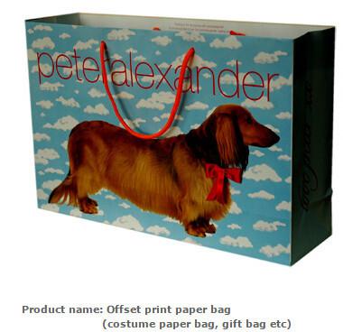 custom shopping kraft eco paper bag, logo printed shopping bag ,gift bag,paper