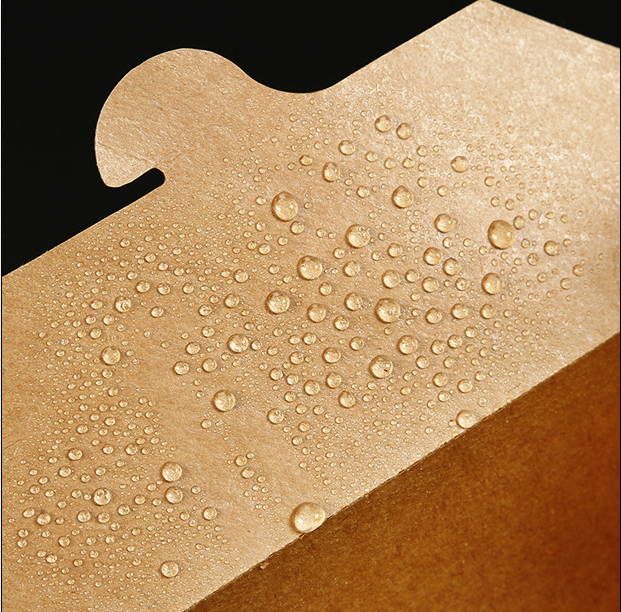 Oilproof 20gsm PE Coated 300gsm Kraft Paper For Disposable Lunch Box
