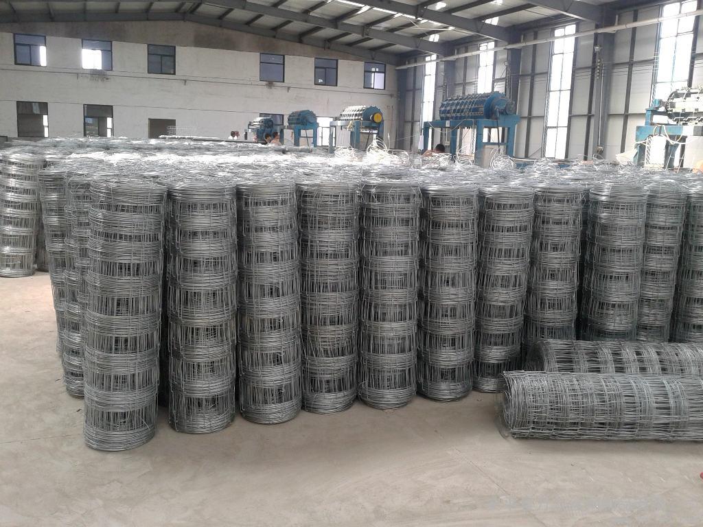 Galvanized Fixed Knot Field Fence Metal Iron White Garden Fence Aluminum Fence Low Carbon Steel Wire Main Iron Gate Designs