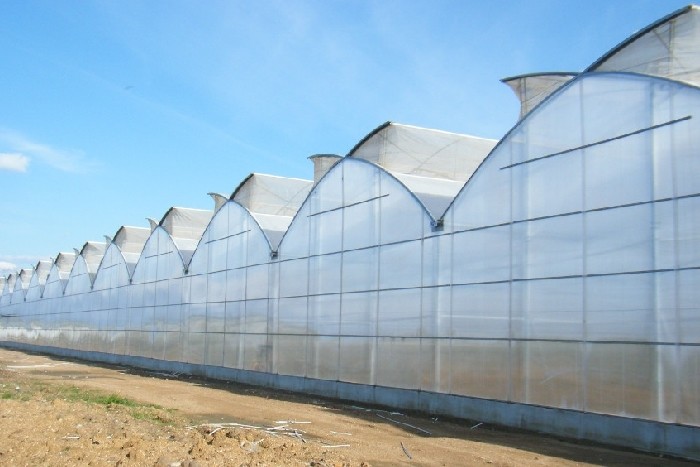 3mm 4mm 16mm 10mm Hollow Galvanized Polycarbonate Greenhouse With Growing System In Turkmenistan