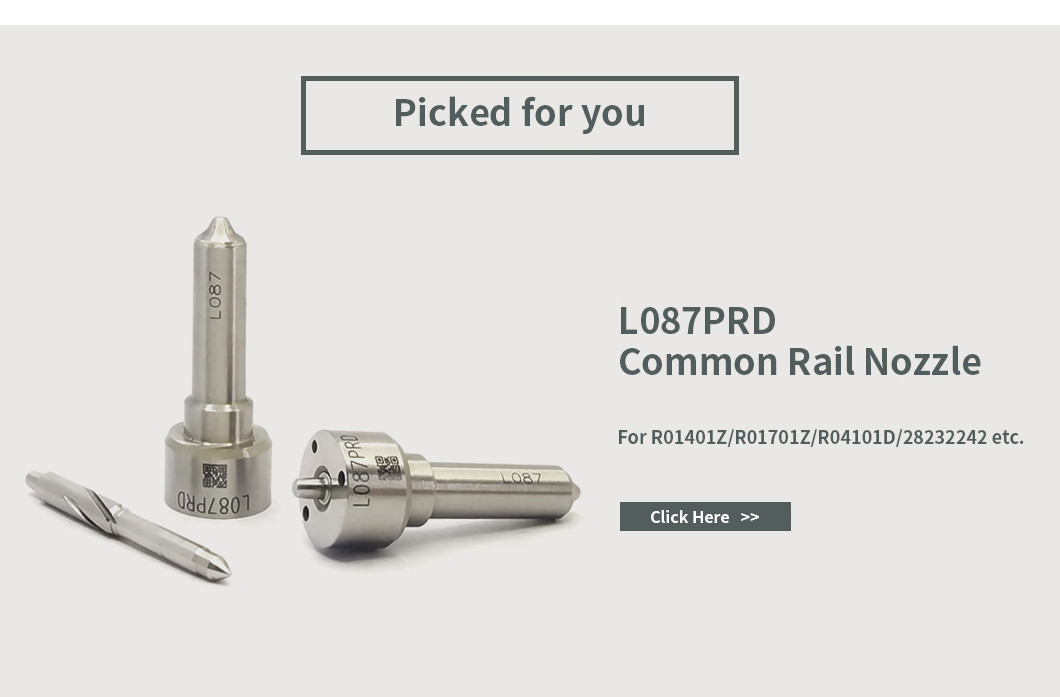 Nozzle-Valve Kit 7135-644 Delphi Injector Repair Kit For Injector 28232242 With Nozzle L087PBD