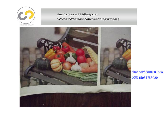 High Speed Paper Film Label Stack Flexograph Print Machine,flexo printing machine price